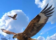 米兰,-老鹰强势依然，材年新星崛起！的简单介绍